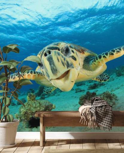 Papel de parede bonito da tartaruga