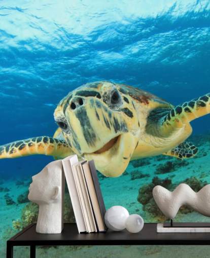 Leuke schildpad close-up behang