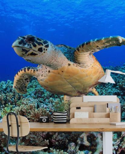 Swimming Turtle Wallpaper