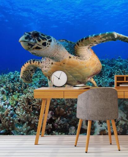 Swimming Turtle Wallpaper