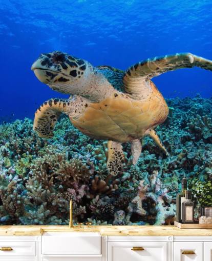 Svømning Turtle Baggrund Svømning Turtle Baggrund