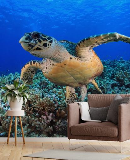 Swimming Turtle Wallpaper