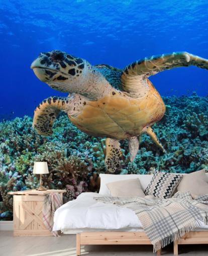 Simning Turtle Bakgrund