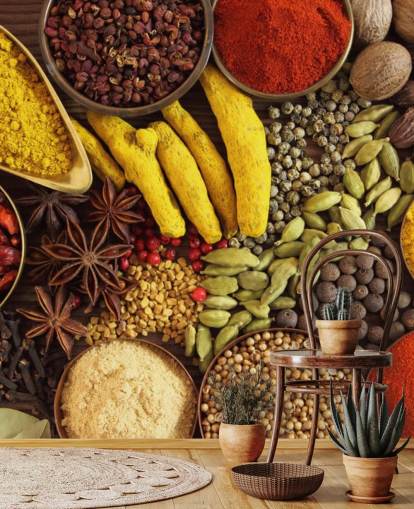 Sammlung von Gewürzen Wallpaper