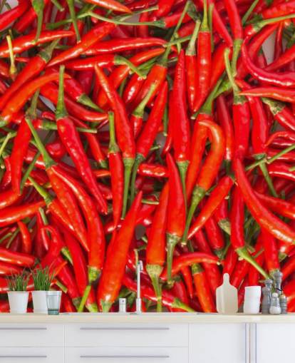 Hot Chili paprikat Taustakuva Hot Chili paprikat Taustakuva