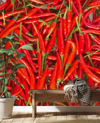 Hot chili Peppers Baggrund