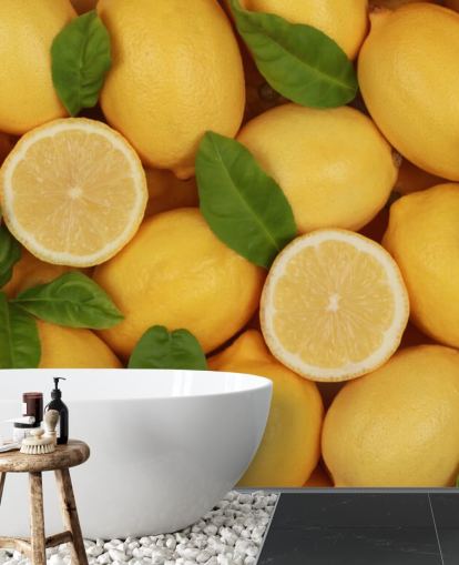 gul citron tapet väggmålning som heter Zesty Lemons för kök