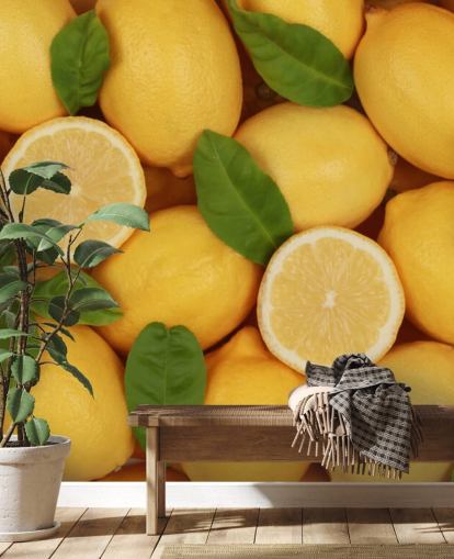 yellow lemon wallpaper mural called Zesty Lemons for kitchens