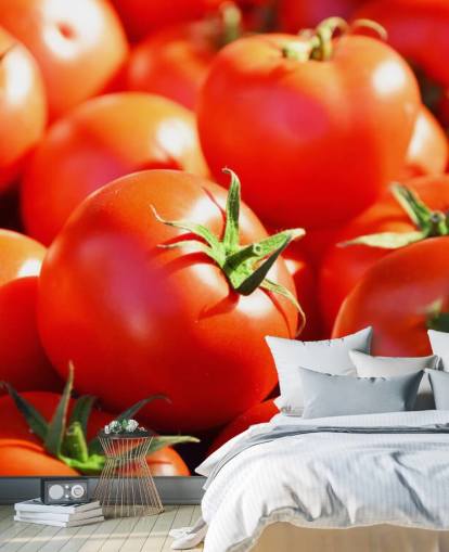 Primi piani di Juicy Tomatoes Wallpaper Primi piani di Juicy Tomatoes Wallpaper