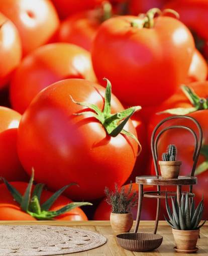 Close Up of Juicy Tomatoes Wallpaper