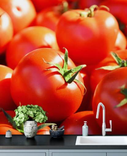 Fond d'écran Gros plan de tomates juteuses