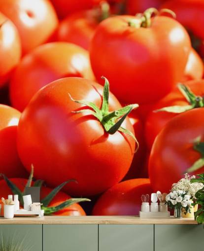 Fondo de pantalla de cerca de tomates jugosos Fondo de pantalla de cerca de tomates jugosos