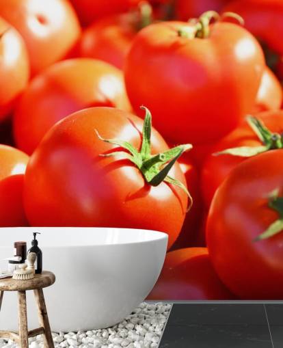 Close Up of Juicy Tomatoes Wallpaper Close Up of Juicy Tomatoes Wallpaper