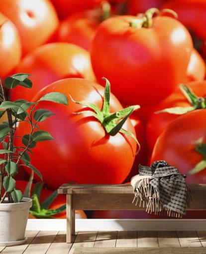 Close Up of Juicy Tomatoes Wallpaper Close Up of Juicy Tomatoes Wallpaper