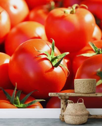 Nahaufnahme von saftigen Tomaten Wallpaper