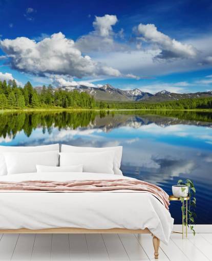 Forest By Lake Wall Mural