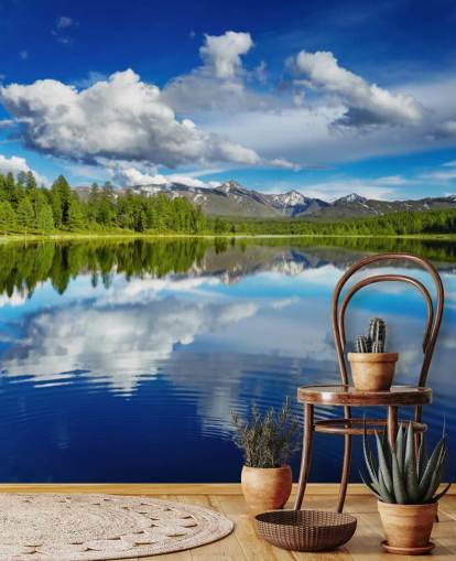 Forest By Lake Wall Mural