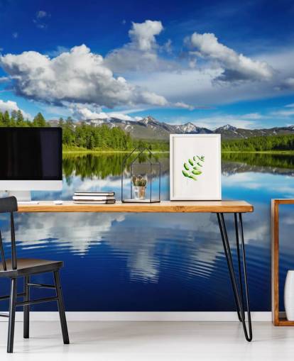 Forest By Lake Wall Mural