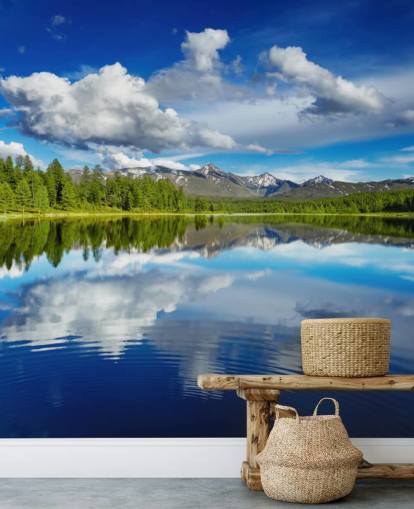 Forest Ved Lake Wall Mural