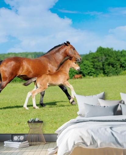Fondo de pantalla de caballo y potro corriendo en el campo