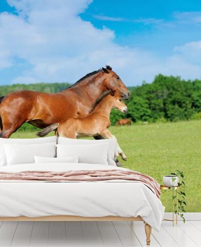 Cavalo e potro correndo no papel de parede de campo