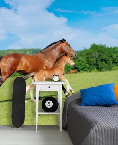 Cavalo e potro correndo no papel de parede de campo
