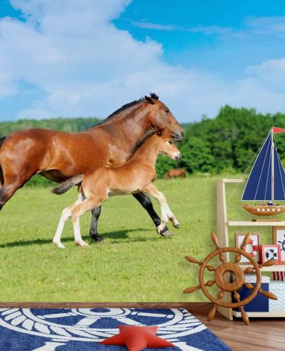 Horse and Foal Running in Field Wallpaper Horse and Foal Running in Field Wallpaper