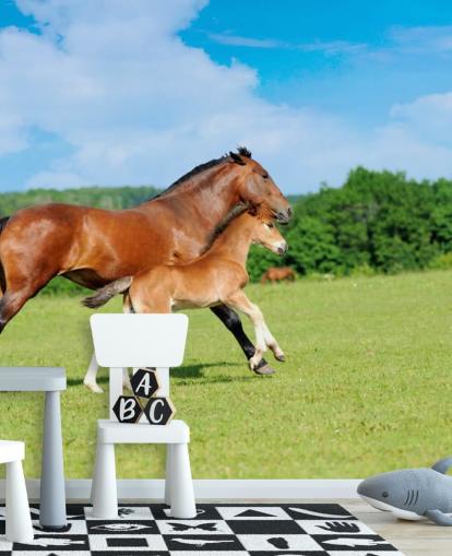 Horse and Foal Running in Field Wallpaper Horse and Foal Running in Field Wallpaper