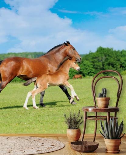 Cavalo e potro correndo no papel de parede de campo