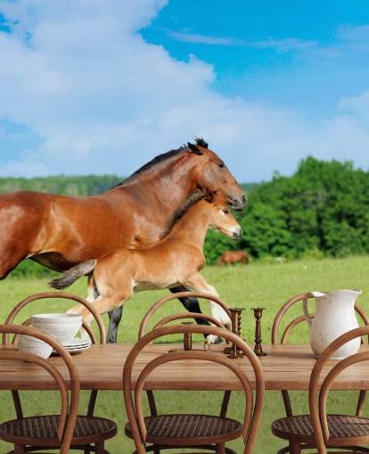 Horse and Foal Running in Field Wallpaper
