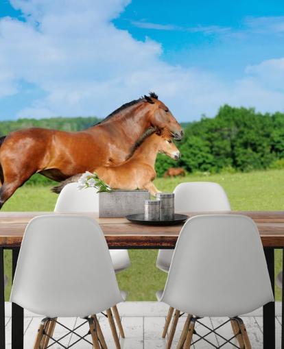 Horse and Foal Running in Field Wallpaper