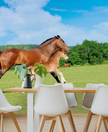 Fondo de pantalla de caballo y potro corriendo en el campo