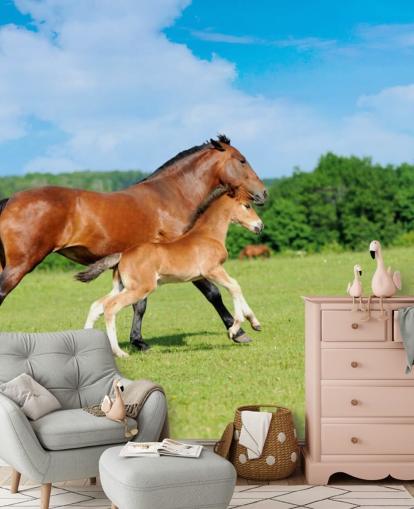 Fond d'écran Cheval et Poulain Courir sur le Terrain Fond d'écran Cheval et Poulain Courir sur le Terrain