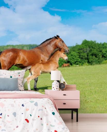 Horse and Foal Running in Field Wallpaper