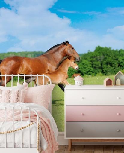 Horse and Foal Running in Field Wallpaper Horse and Foal Running in Field Wallpaper