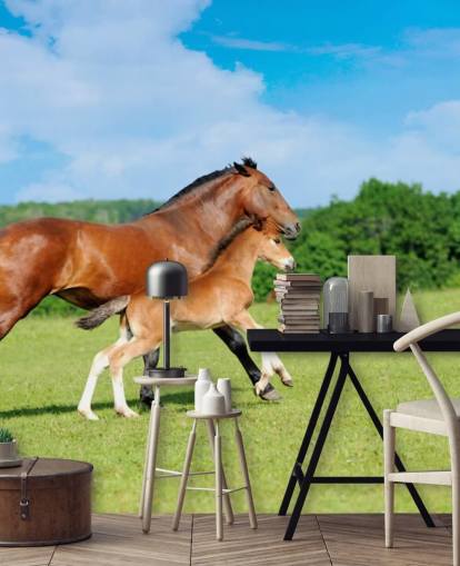 Cavalo e potro correndo no papel de parede de campo