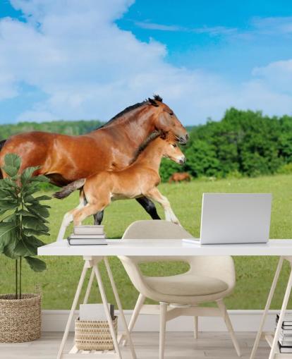 Horse and Foal Running in Field Wallpaper Horse and Foal Running in Field Wallpaper