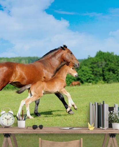 Horse and Foal Running in Field Wallpaper