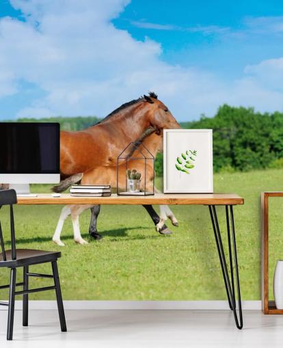 Horse and Foal Running in Field Wallpaper