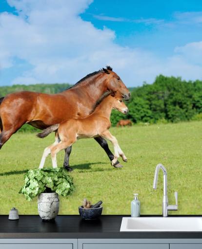Paard en veulen lopen in veld behang Paard en veulen lopen in veld behang