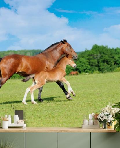 Fondo de pantalla de caballo y potro corriendo en el campo
