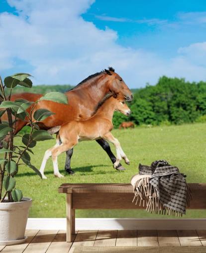 Horse and Foal Running in Field Wallpaper
