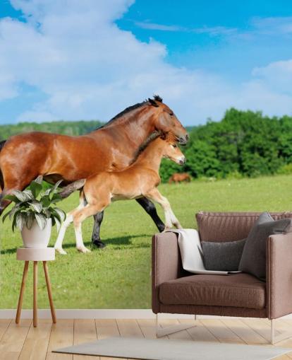 Horse and Foal Running in Field Wallpaper