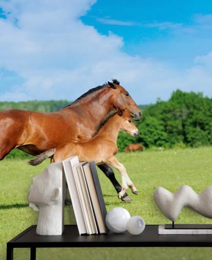 Fondo de pantalla de caballo y potro corriendo en el campo
