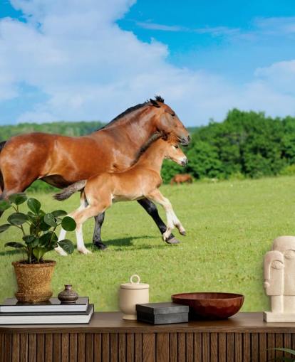 Fond d'écran Cheval et Poulain Courir sur le Terrain