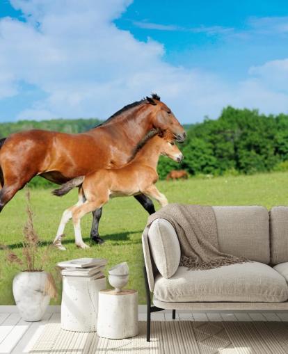 Horse and Foal Running in Field Wallpaper
