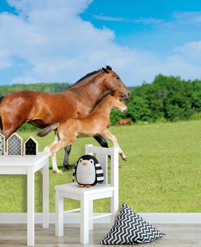 Cavalo e potro correndo no papel de parede de campo