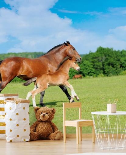 Horse and Foal Running in Field Wallpaper