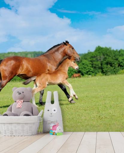 Fond d'écran Cheval et Poulain Courir sur le Terrain Fond d'écran Cheval et Poulain Courir sur le Terrain