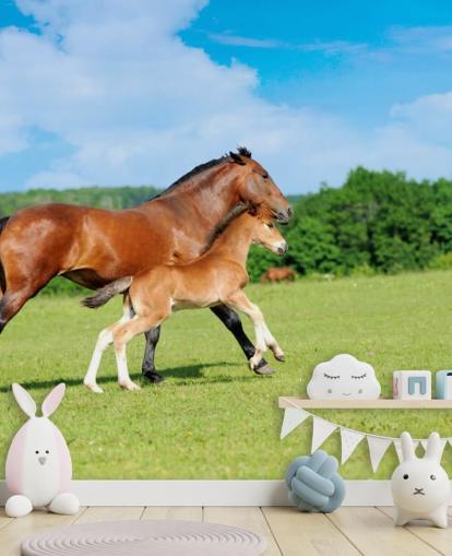 Hest og føll kjører i feltet tapet